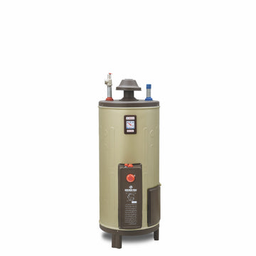 GF-20GE Gas & Electric Water Heater